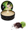 Массажная свеча Shunga Exotic Green Tea с ароматом зелёного чая, 30 мл 4611 - фото 182126 Массажная свеча Shunga Exotic Green Tea с ароматом зелёного чая, 30 мл 4611 - фото 182126