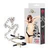 Зажимы на соски Nipple clamps с цепочкой 941-01 PP DD - фото 182949