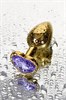Золотистая анальная втулка с фиолетовым кристаллом-сердечком, 7х2,7 см 717016-134 - фото 185410 Золотистая анальная втулка с фиолетовым кристаллом-сердечком, 7х2,7 см 717016-134 - фото 185410