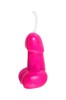 Набор свечи Pecado BDSM, «Мини-пенис», 10 шт 12022-03 Набор свечи Pecado BDSM, «Мини-пенис», 10 шт 12022-03