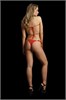 Красный топ и трусики со стразами Festive Rhinestone Top and Thong DCH001REDOS - фото 188477 Красный топ и трусики со стразами Festive Rhinestone Top and Thong DCH001REDOS - фото 188477