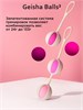 Вагинальные шарики премиум Geisha Balls 3, от 24 г до 77 г FT10493 - фото 191030 Вагинальные шарики премиум Geisha Balls 3, от 24 г до 77 г FT10493 - фото 191030