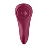 Клиторальный вибратор в трусики Satisfyer Sexy Secret 1003351SA Клиторальный вибратор в трусики Satisfyer Sexy Secret 1003351SA