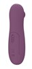 Фиолетовый вакуумный вибростимулятор клитора Ace 9020-03lola - фото 191482 Фиолетовый вакуумный вибростимулятор клитора Ace 9020-03lola - фото 191482